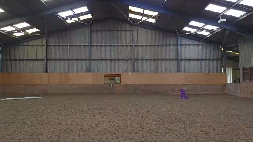 English Thoroughbred horses for sale: lovely home for my boy (no reason of his own!!!) - Video 1