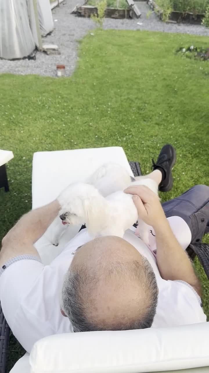 Maltese dogs for sale: 2 GORGEOUS MALTESE GIRLS - Video 1