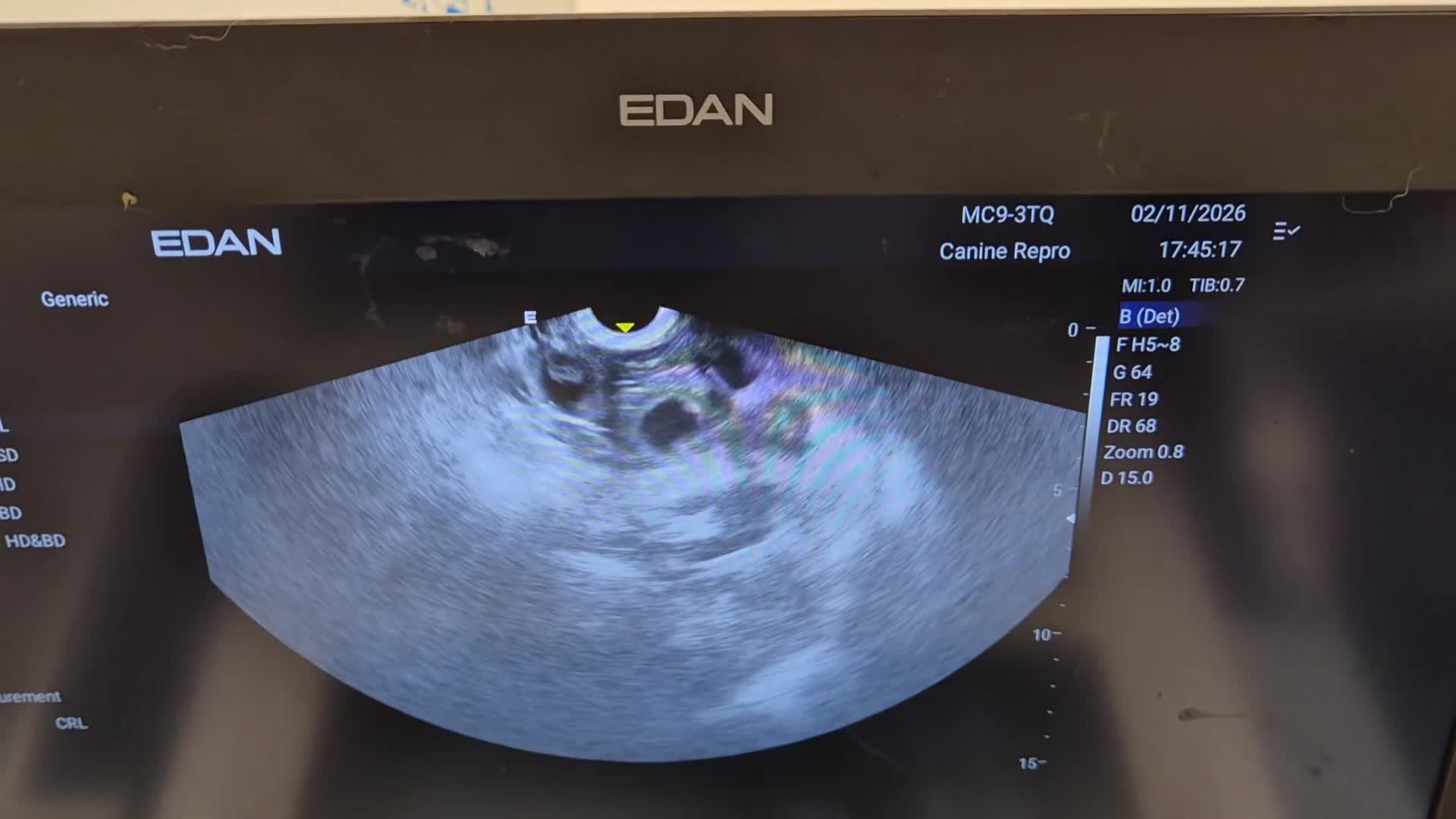 Cocker Spaniel dogs for sale: Show Cockers ~ WAITING LISTS OPENED ~ 2 LITTERS  - Video 1