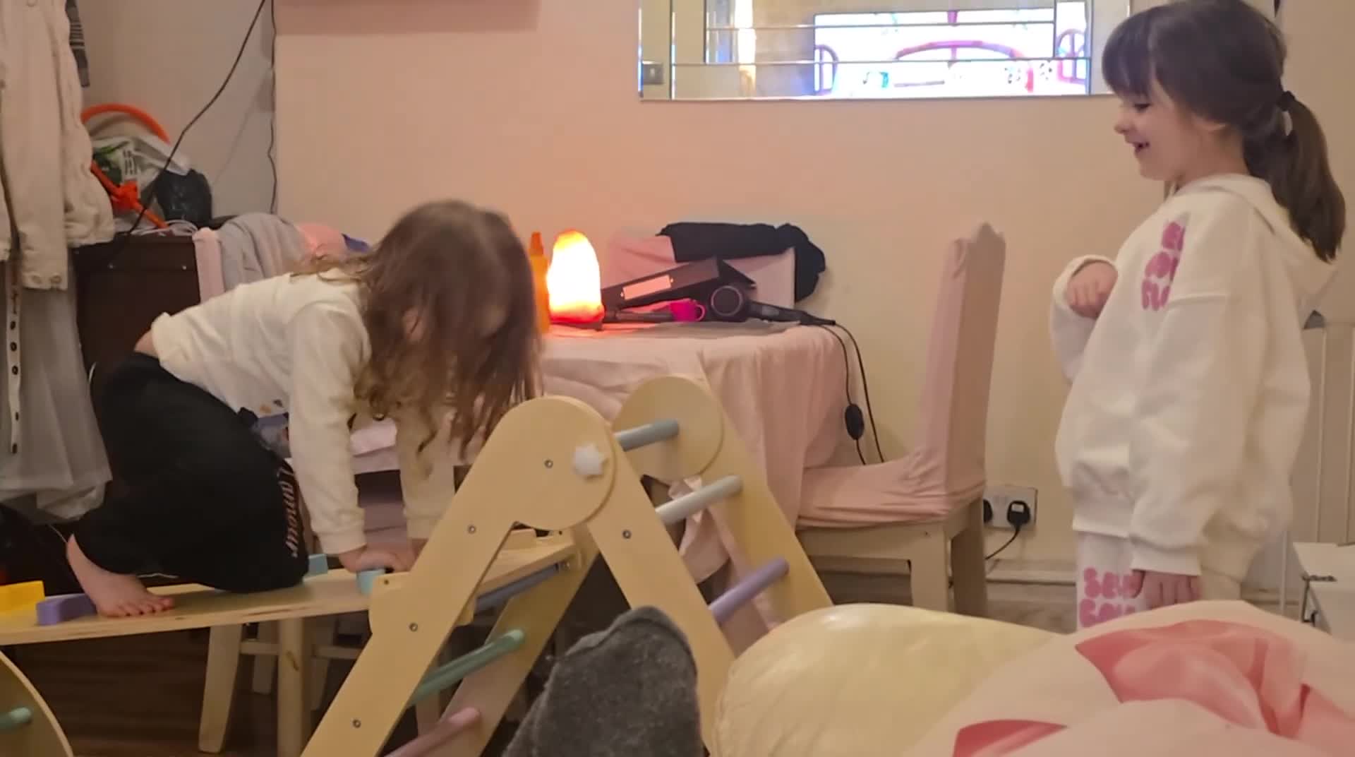 Mixed Breed dogs for sale: Dachsund x porkie (pom, yorkie)  in Tonypandy - Video 2