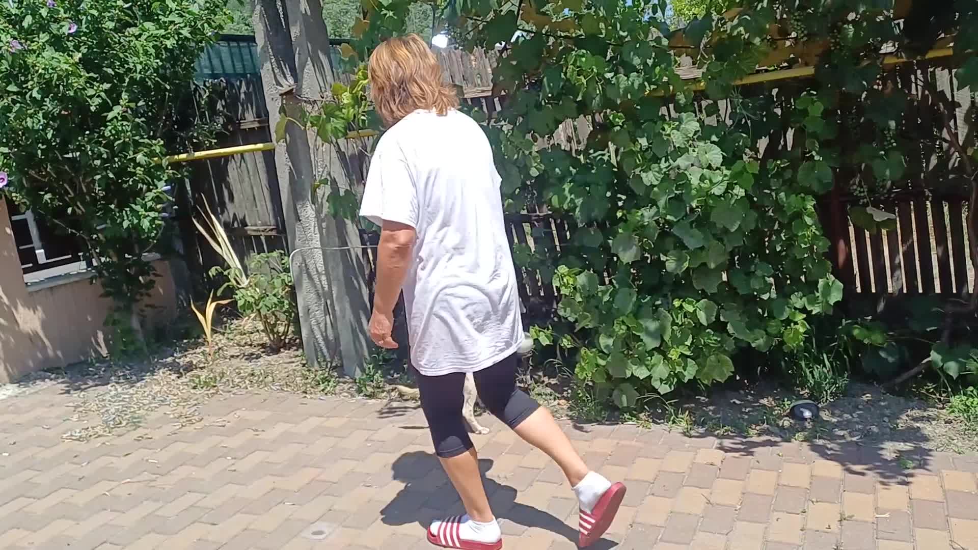 Cockapoo dogs for adoption: 🐾CRIS - Betrayed by the Person He Trusted… in Nottingham - Video 1