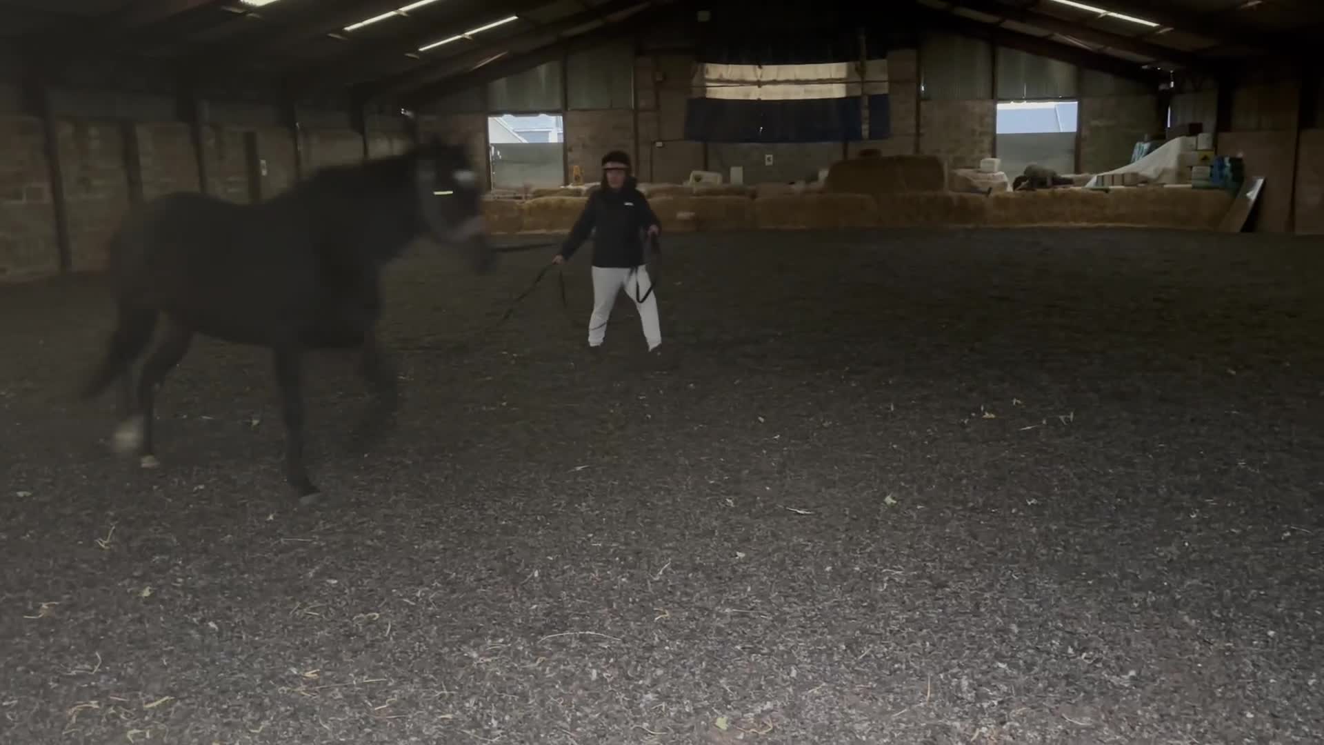 English Thoroughbred horses for sale: Lovely well put together 15.3 4yo Mare - Video 3