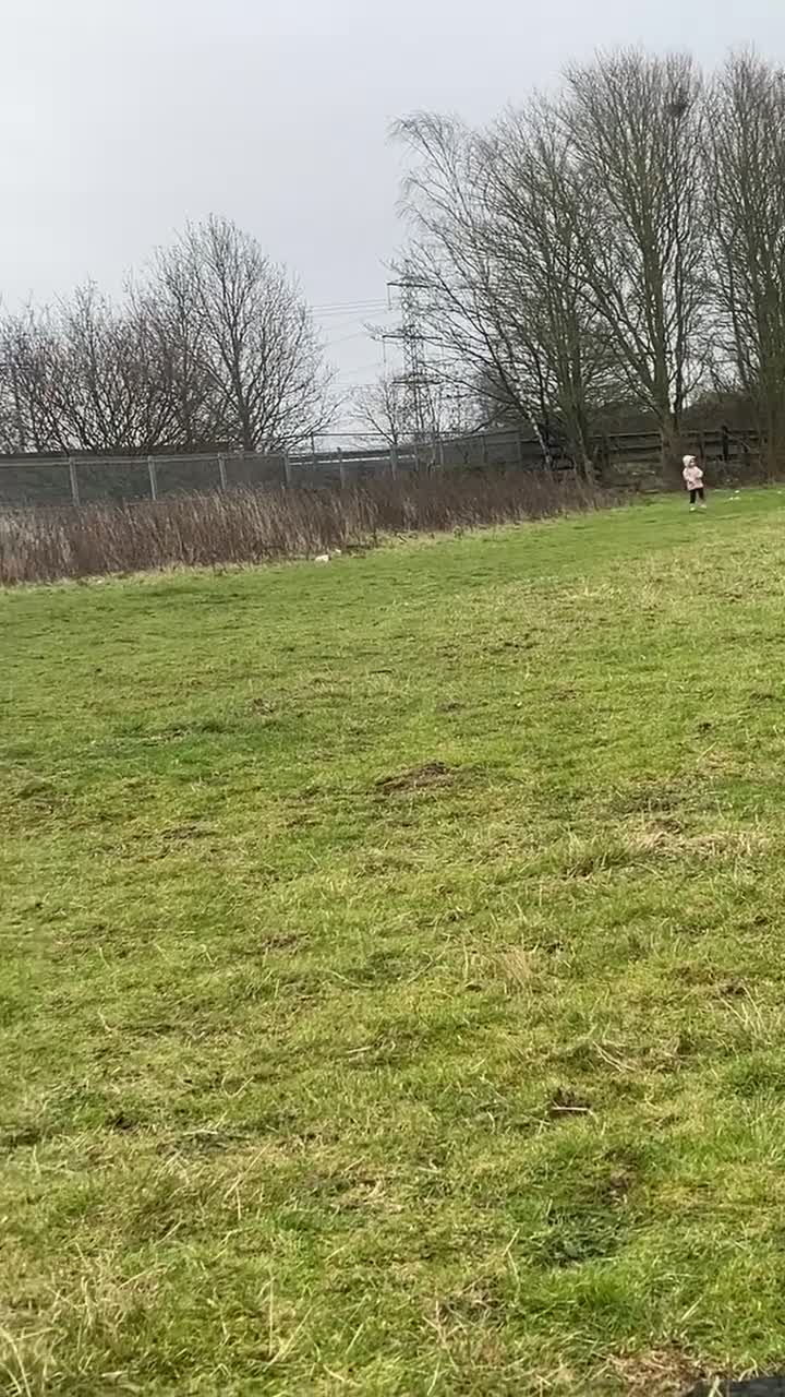 Mixed Breed dogs for sale: 9 month old pup looking for his forever home  - Video 1