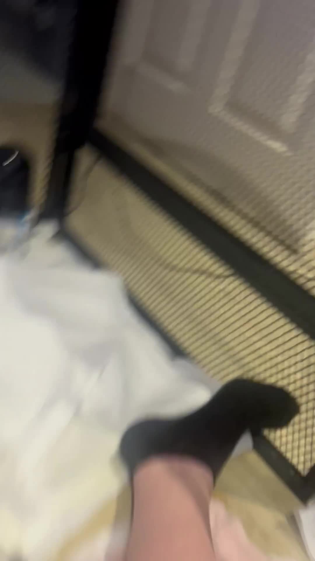 Pug dogs for sale: BEAUTIFUL WHITE PUG PUPS - Video 3