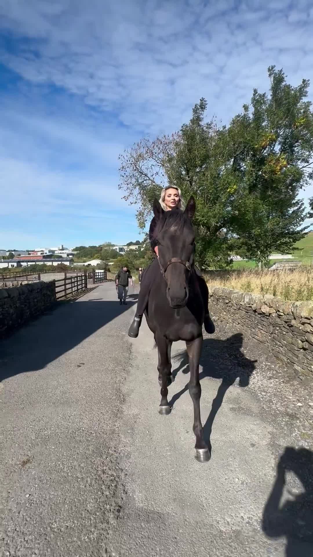 Irish Thoroughbred horses for sale: Thoroughbred and Dartmoor for sale - Video 1