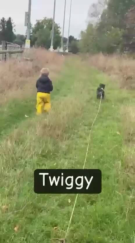 Mixed Breed dogs for adoption: 💖🐶 TWIGGY – A Happy Little Spirit🐶💖 - Video 1