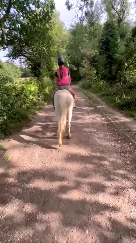 Welsh Section A horses for sale: Missing Gem tobiano mare - Video 1
