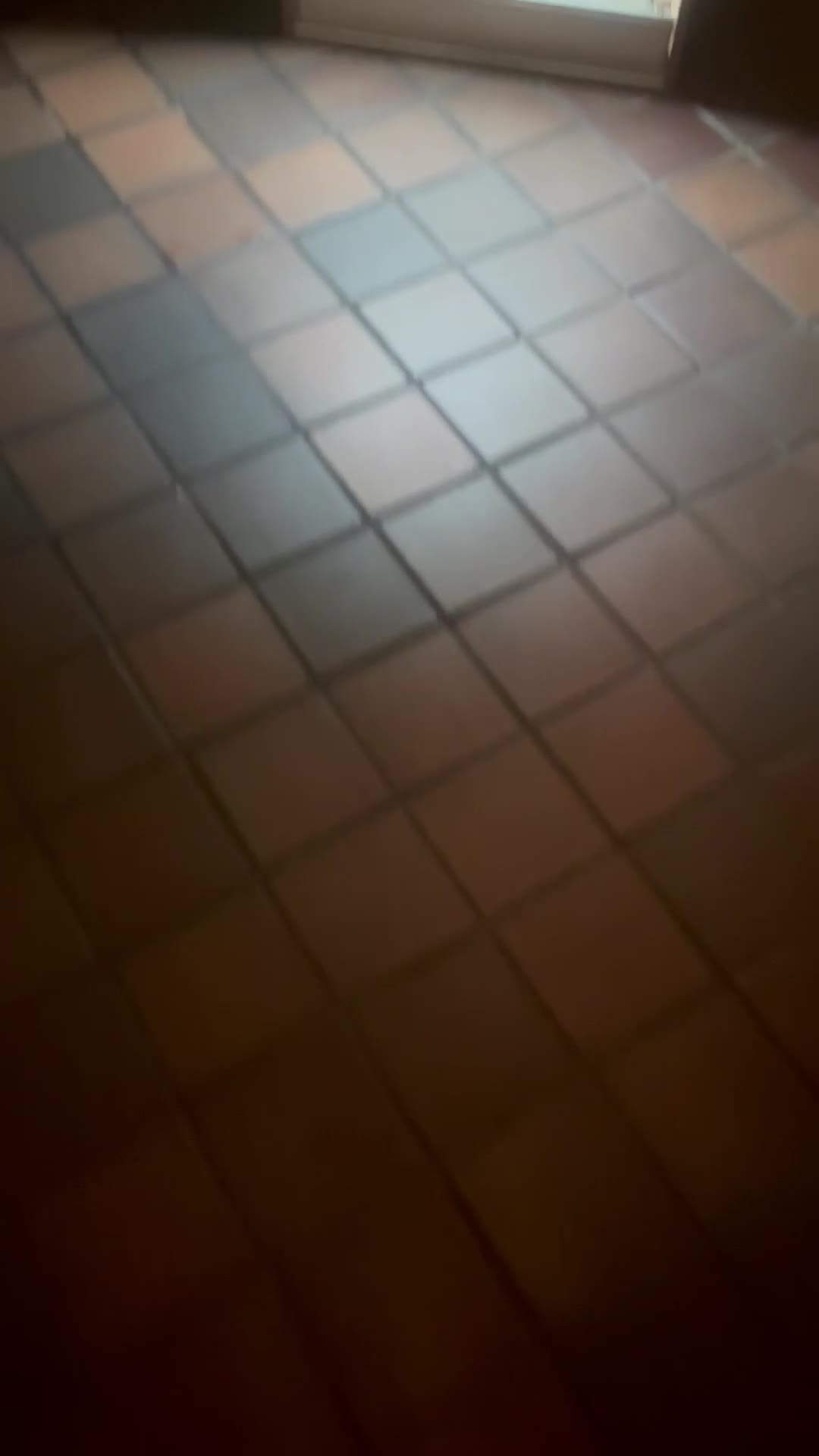 Gecko reptiles for sale: X2 crested geckos with vivarium  - Video 1