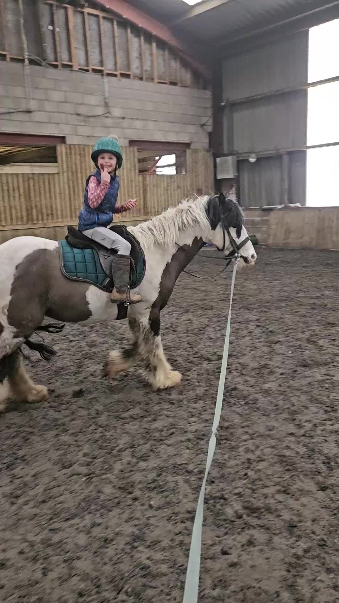 Other Breed horses for sale: 🌟 13.2hh 9-Year-Old Cob Mare 🌟 - Video 3