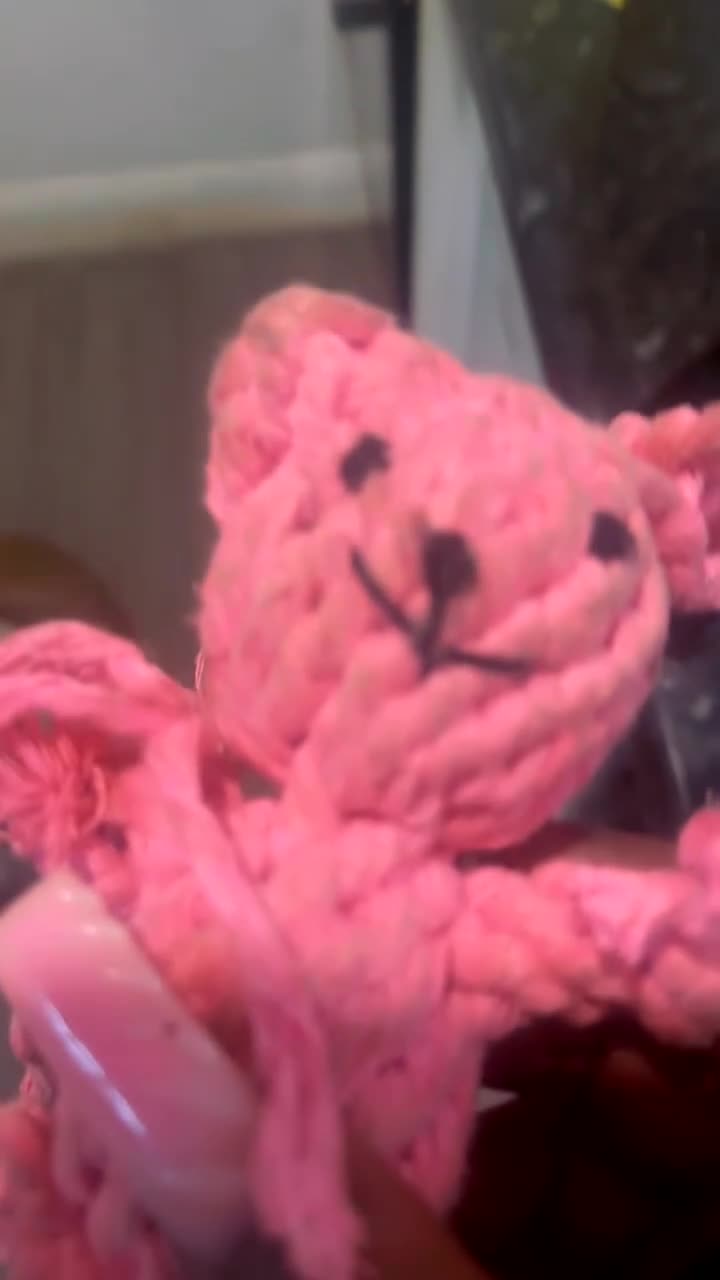 Mixed Breed dogs for sale: Milly looking for new home  - Video 4