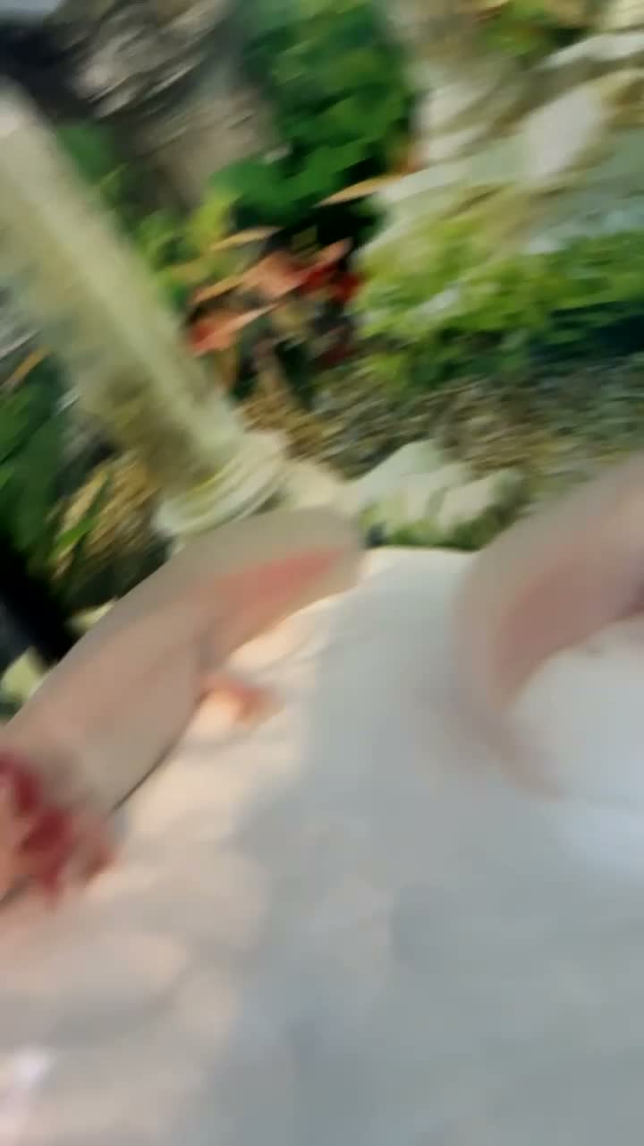 Axolotl reptiles for sale: Two alibino Axalotls full set up in Gravesend - Video 3