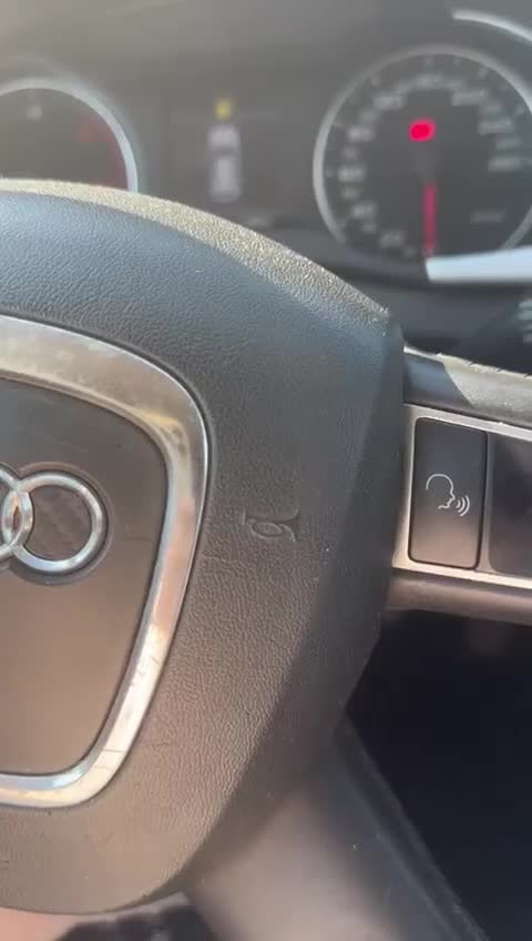 Mixed Breed dogs for adoption: SNOOPYBOLT, a handsome puppy boy for a Loving Home - Video 1