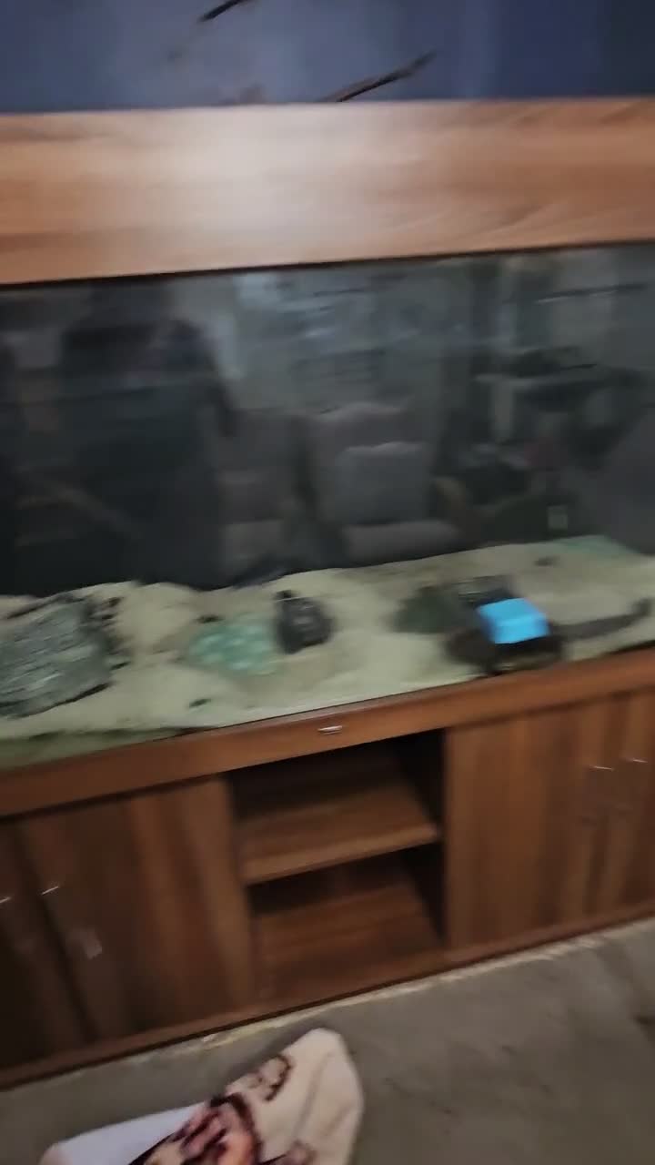 Cichlids fish for sale: 6ft tank and stand  - Video 1