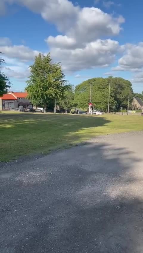 Irish Cob horses for sale: Best in blue 💙 - Video 1