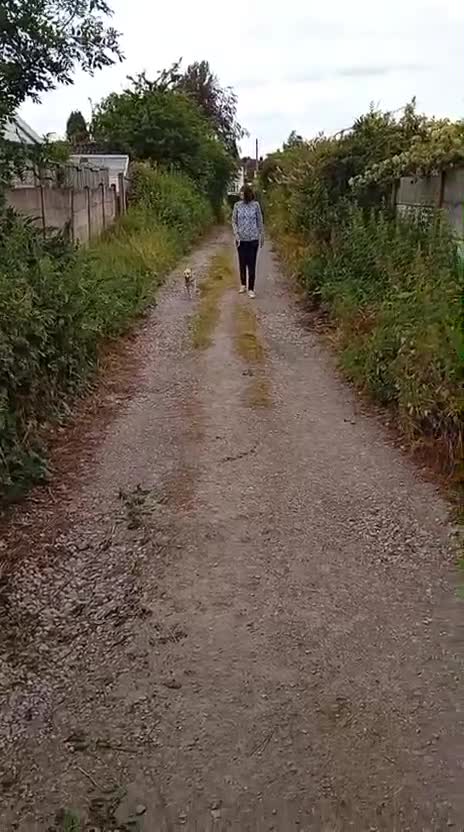 Mixed Breed dogs for adoption: ❤️🐶 STELLA – SMALL BODY, HUGE HEART, ENDLESS LOVE in Burton-on-Trent - Video 3