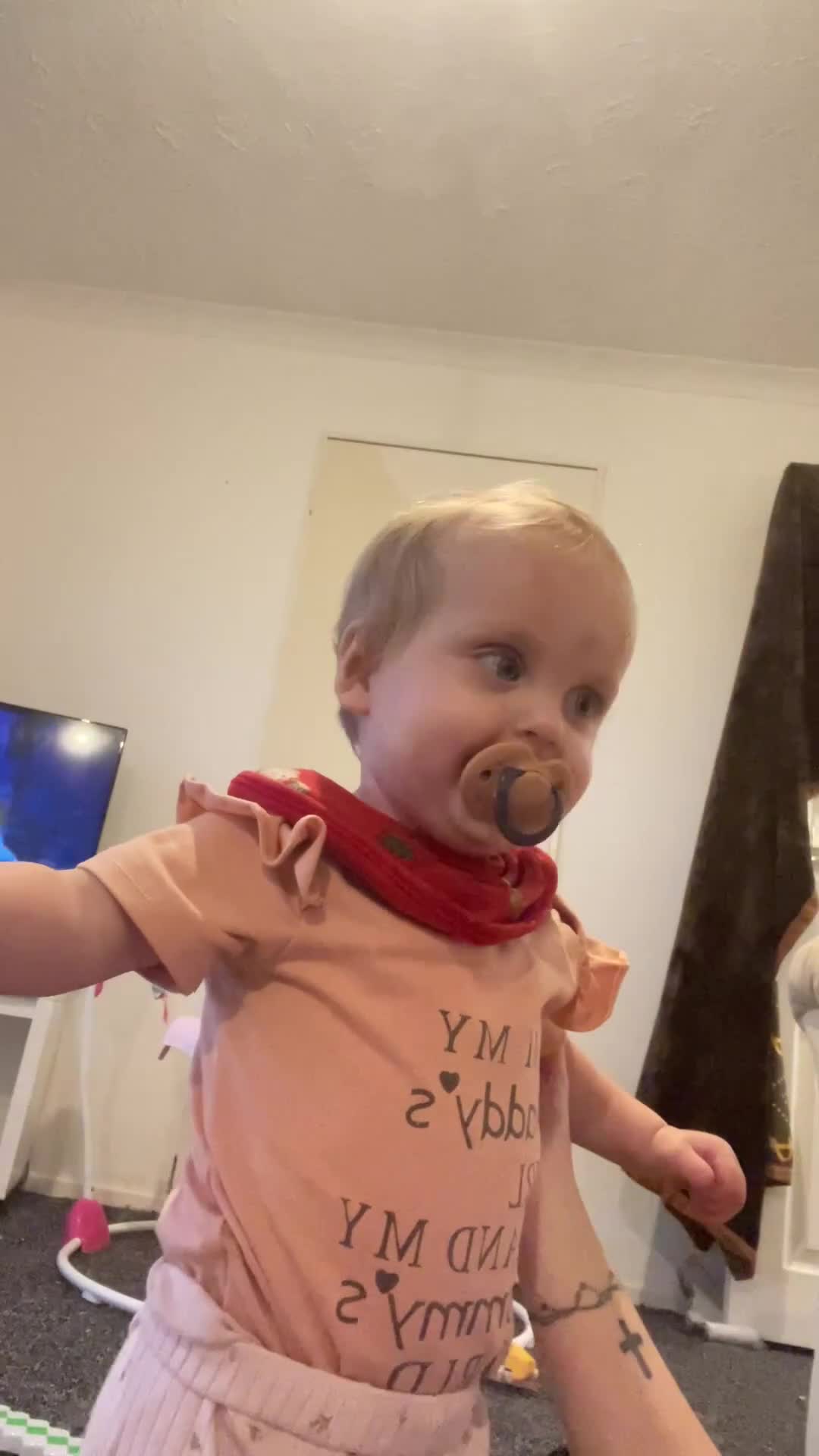 Mixed Breed dogs for sale: My two pups for sale  - Video 1