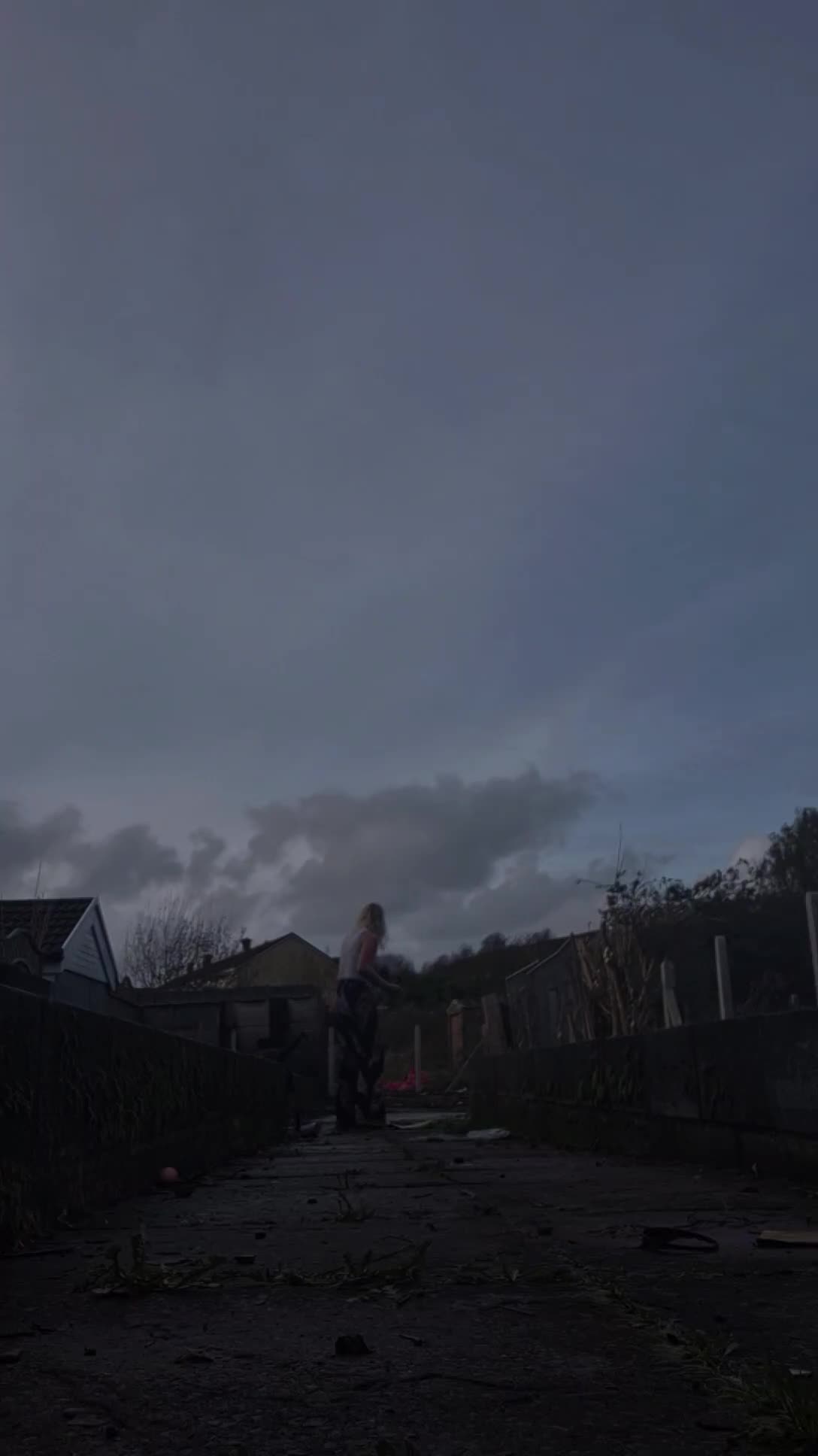 Mixed Breed dogs for sale: Rottweiler x gsd x malinois - Video 2