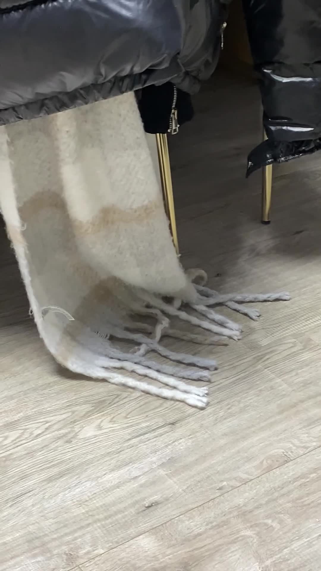 Mixed Breed cats for sale: Beautiful cat half breed (female) - Video 1