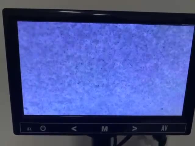 Cane Corso dogs for stud: Presenting MASSIMO MARCELLO for Stud in Stafford - Video 1