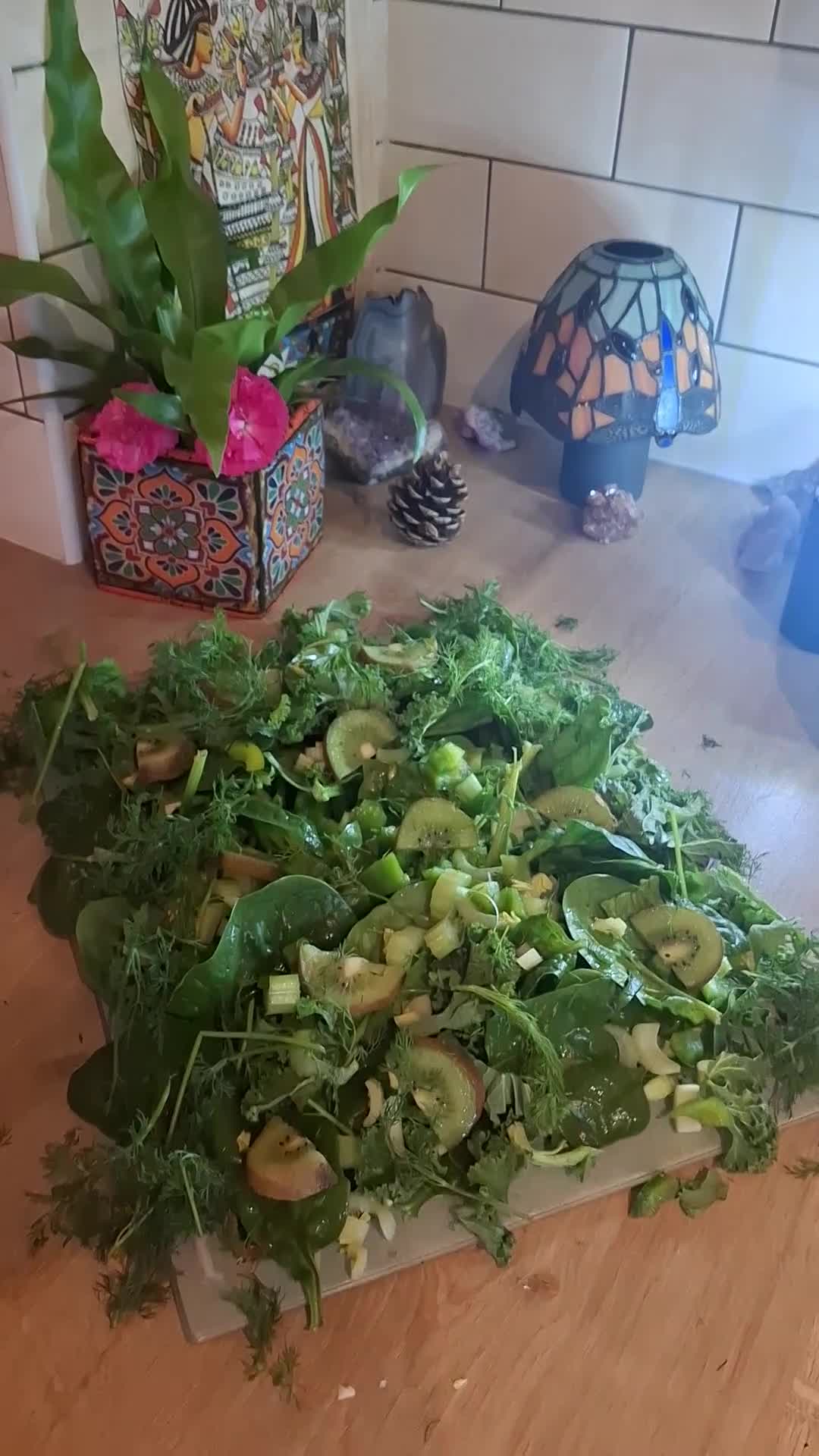 Guinea Pig rodents for sale: Small animal boarding services  - Video 1