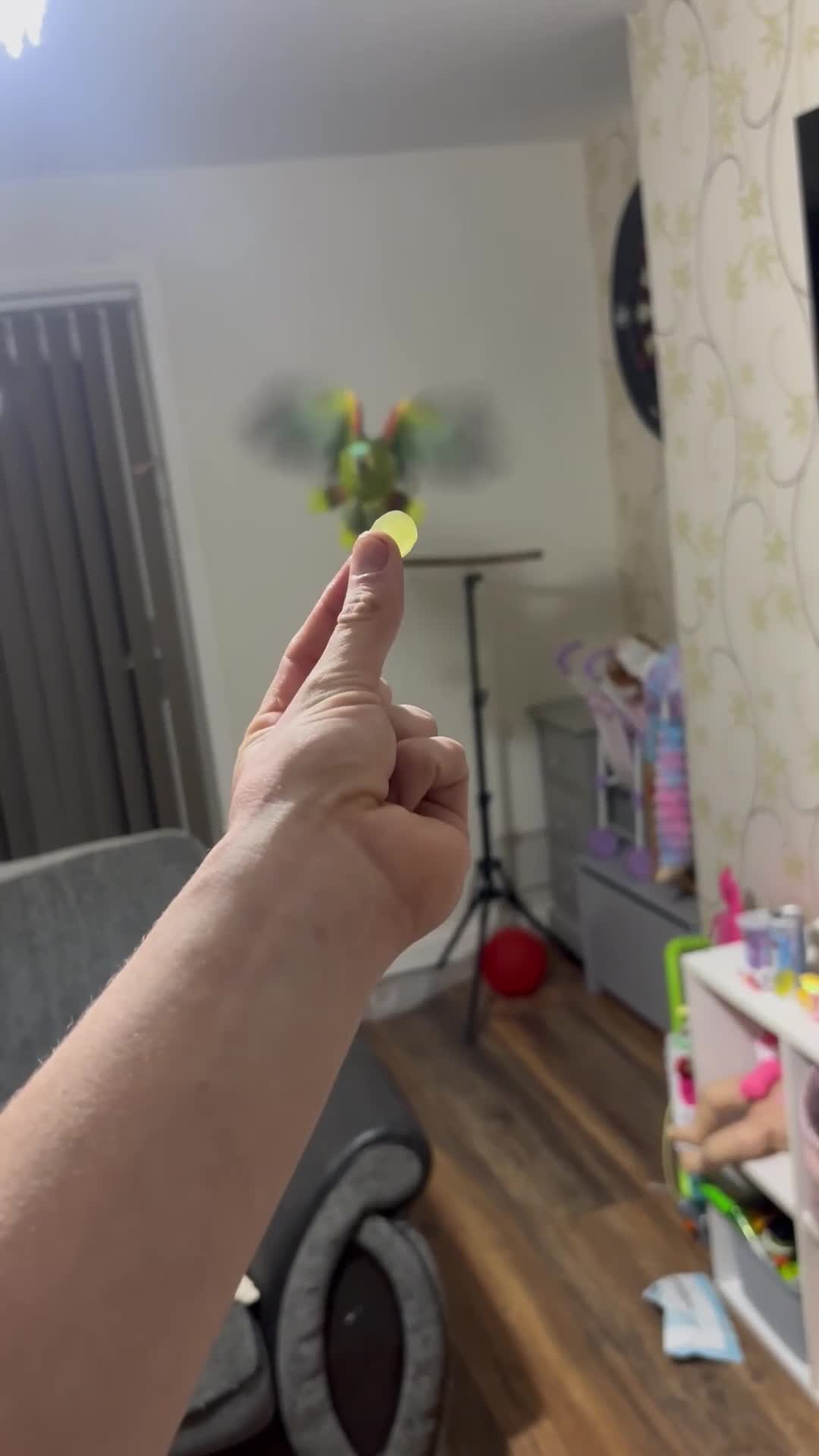 Parrots birds for sale: Blue fronted Amazon with full set up - Video 1