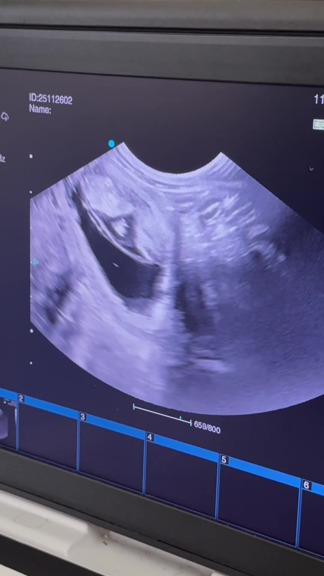 Cavapoo dogs for sale: Tiny cavapoo F1BB - ESA certified - Video 1