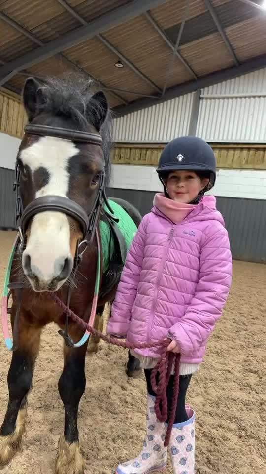 Welsh Section A horses for sale: Pony: Reggie for sale - Video 1