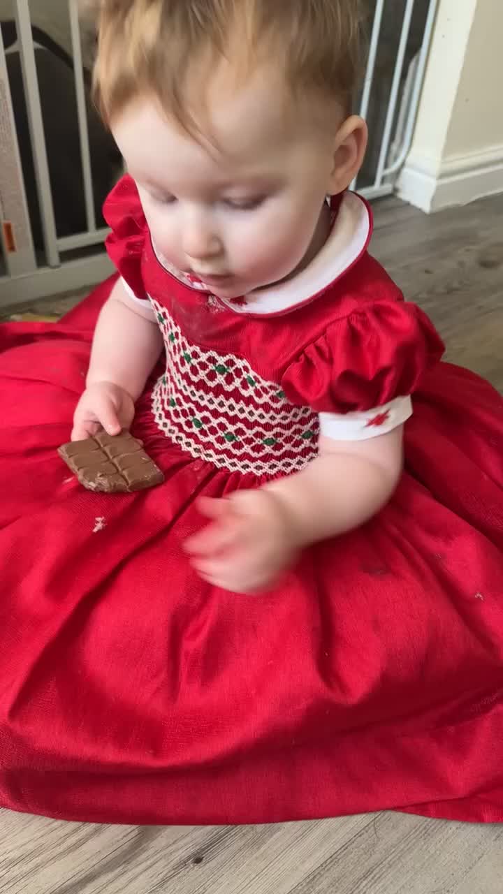 Cane Corso dogs for sale: Cane Corso female  - Video 1