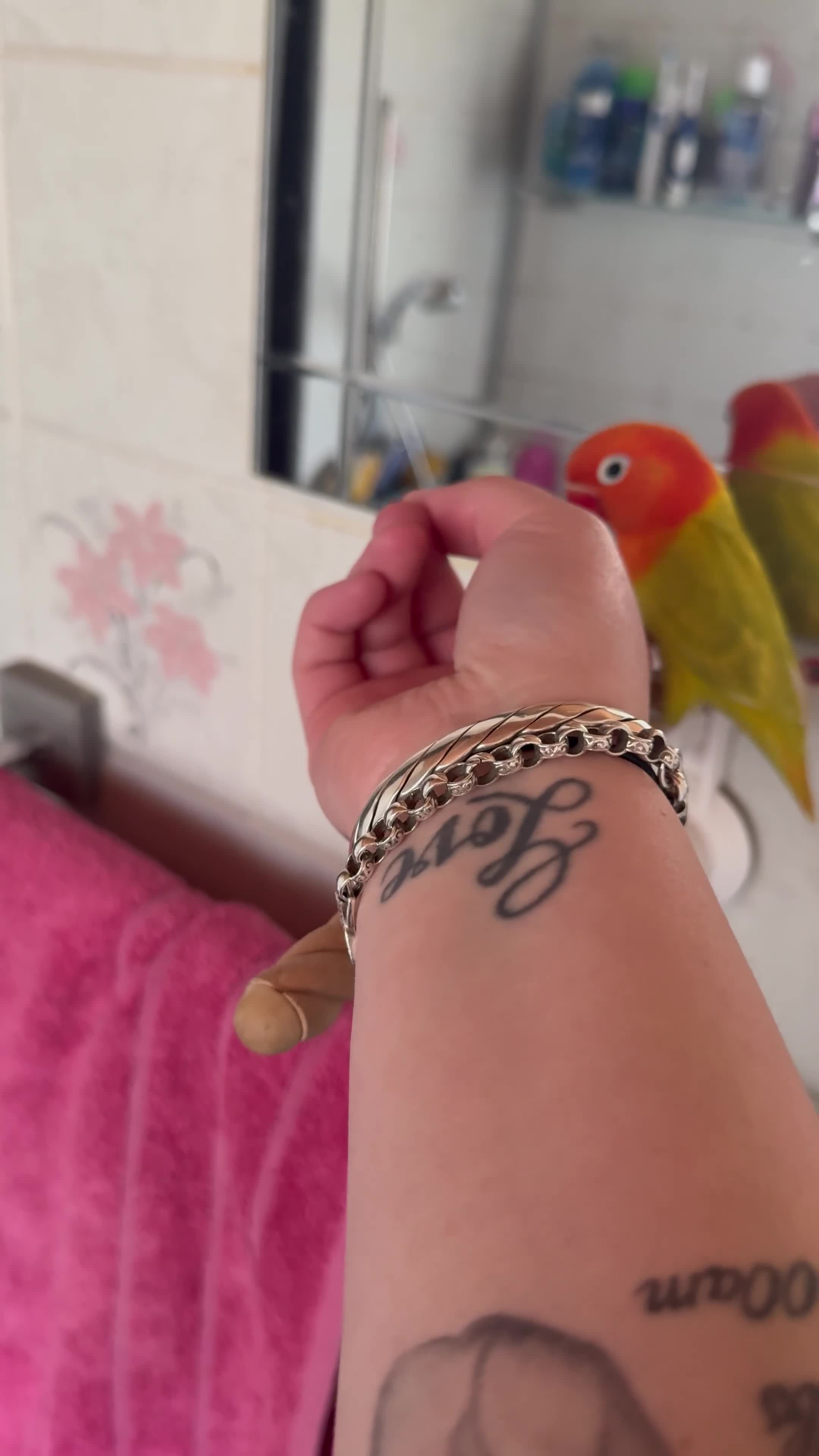 Lovebirds birds for sale: Stunning DNA SEXED MALE LOVEBIRDS  - Video 2