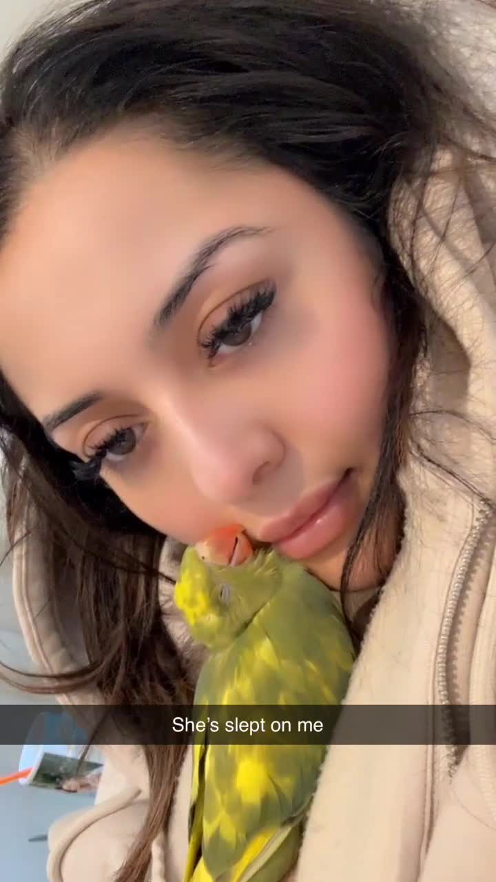 Parrots birds for sale: 1 month- hand tamed Indian ring neck-cuddles-rare  - Video 4