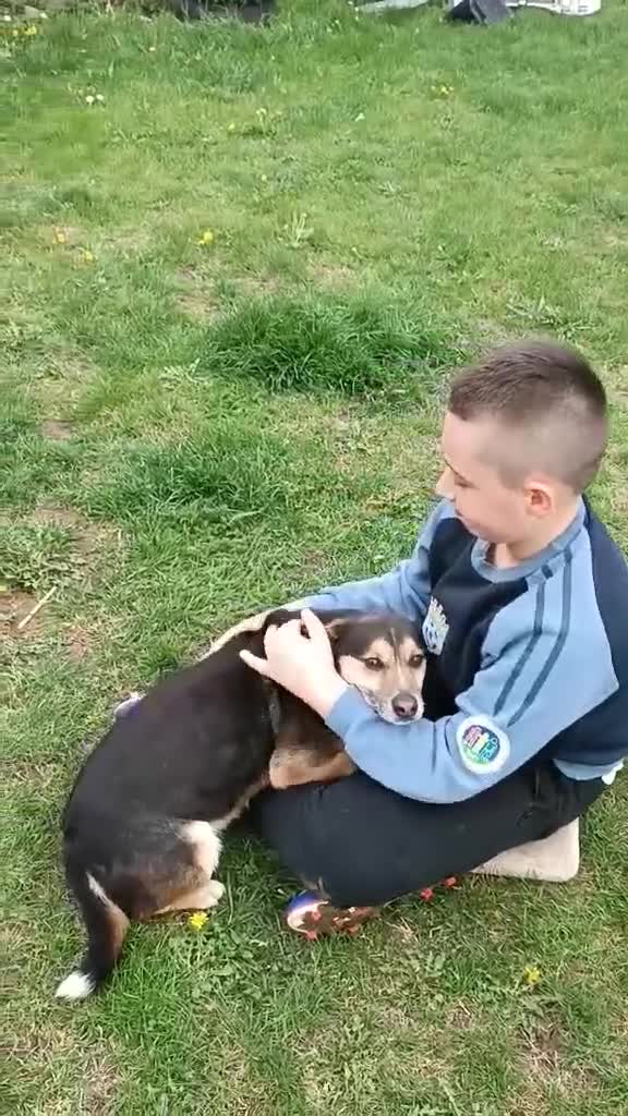Mixed Breed dogs for sale: SAMIA–A LITTLE DOG WITH A BIG SMILE 🐾❤️ - Video 1