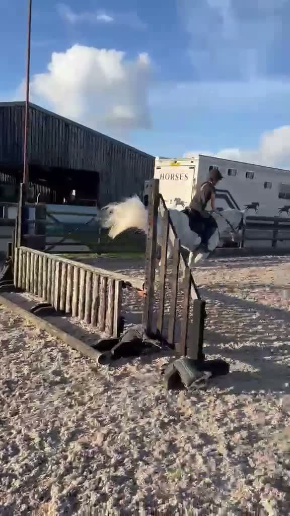 Connemara horses for sale: Misty 15.2 9yr old Connie gelding in Wrexham - Video 1