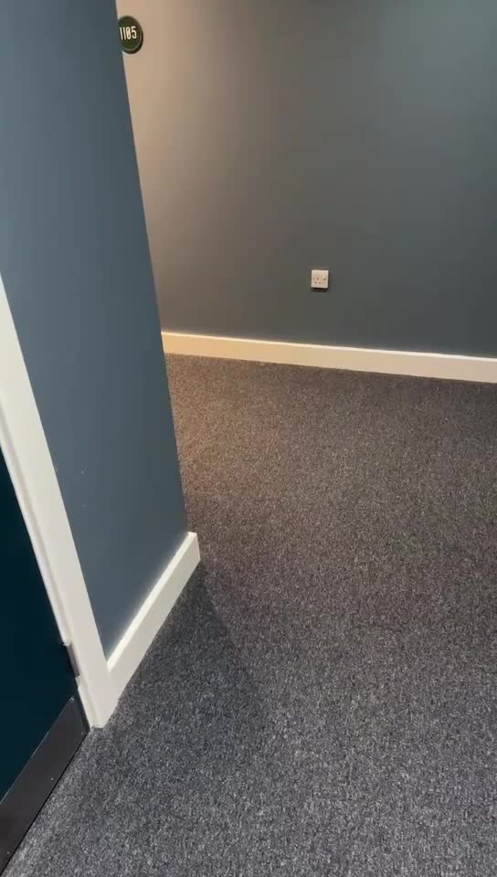 Cocker Spaniel dogs for sale: Adorable and Playful English Cocker Spaniel Puppy - Video 2