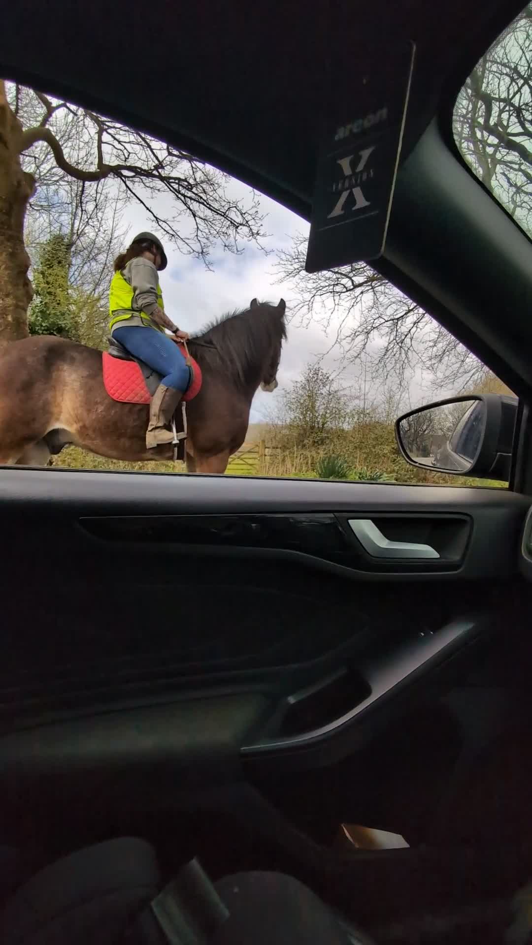 Shire horses for sale: Bruno 18.3 registered shire gelding  - Video 4