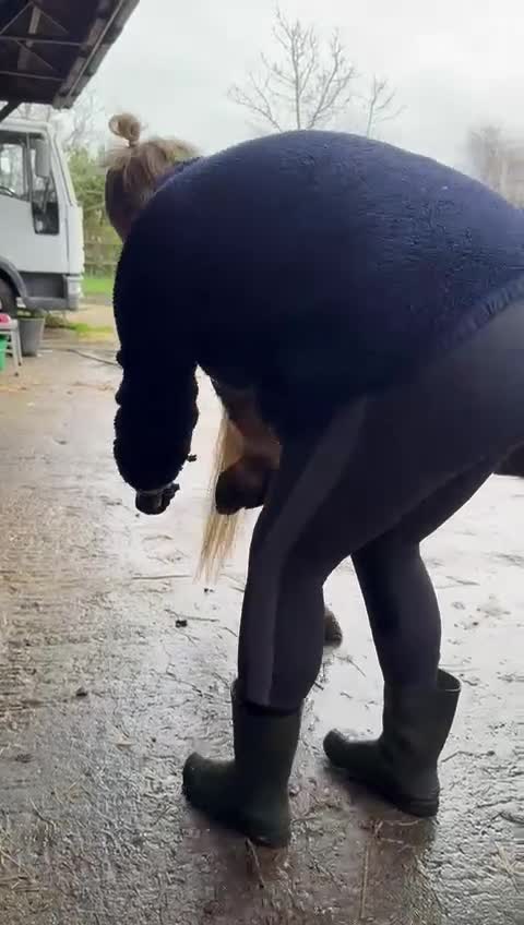 Welsh Section A horses for sale: Welsh sec A Pony 11hh 3yo gelding - Video 1