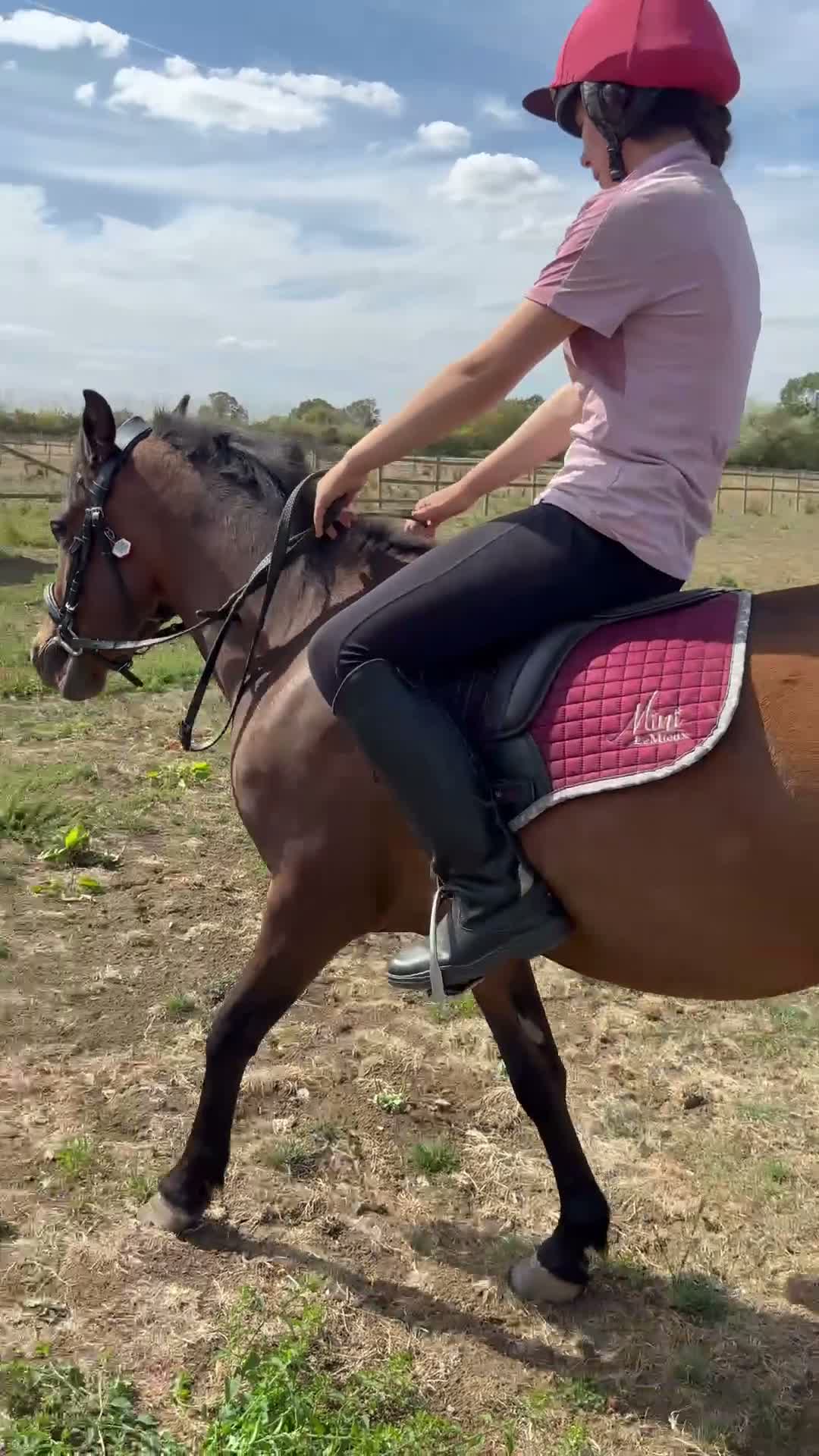 Caspian horse horses for sale: Ant (Rudaki Anthony) in Evesham - Video 5