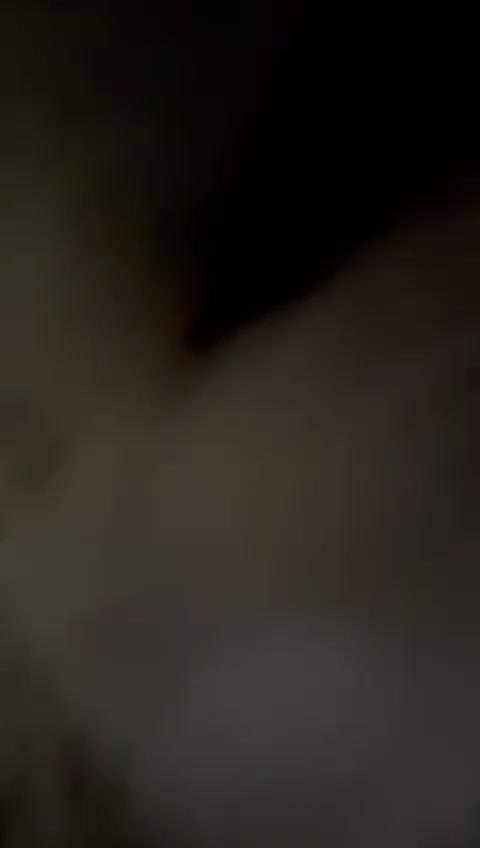 Persian cats for sale: Beautiful Persian Tabby Kitten - Video 1