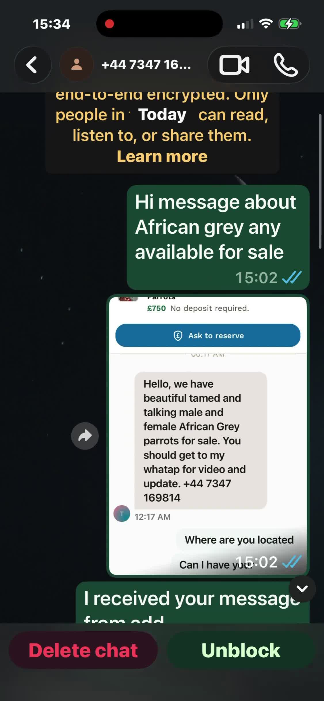 Parrots birds for sale: Parrot scammer - Video 1
