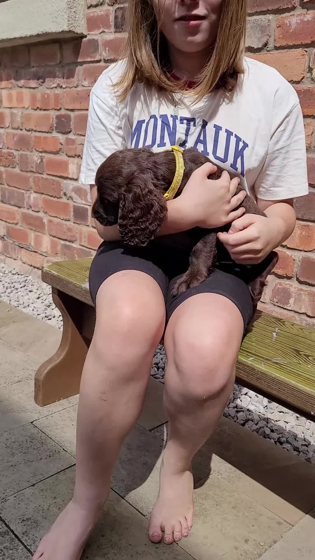 Cocker Spaniel dogs for sale: 'CHAMPION BRED!! 'COCKER SPANIEL' - Video 1