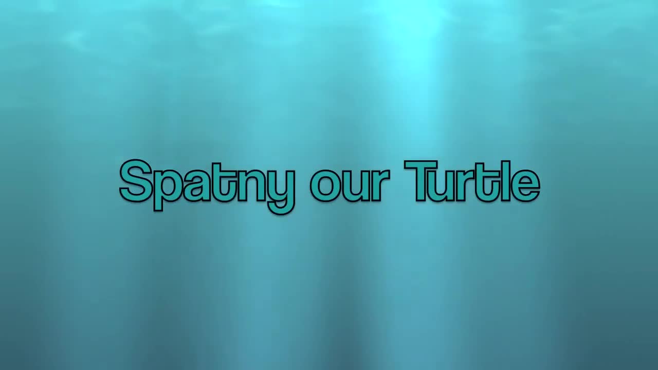 Turtle reptiles for sale: Rehoming our Spatny the turtle - Video 1