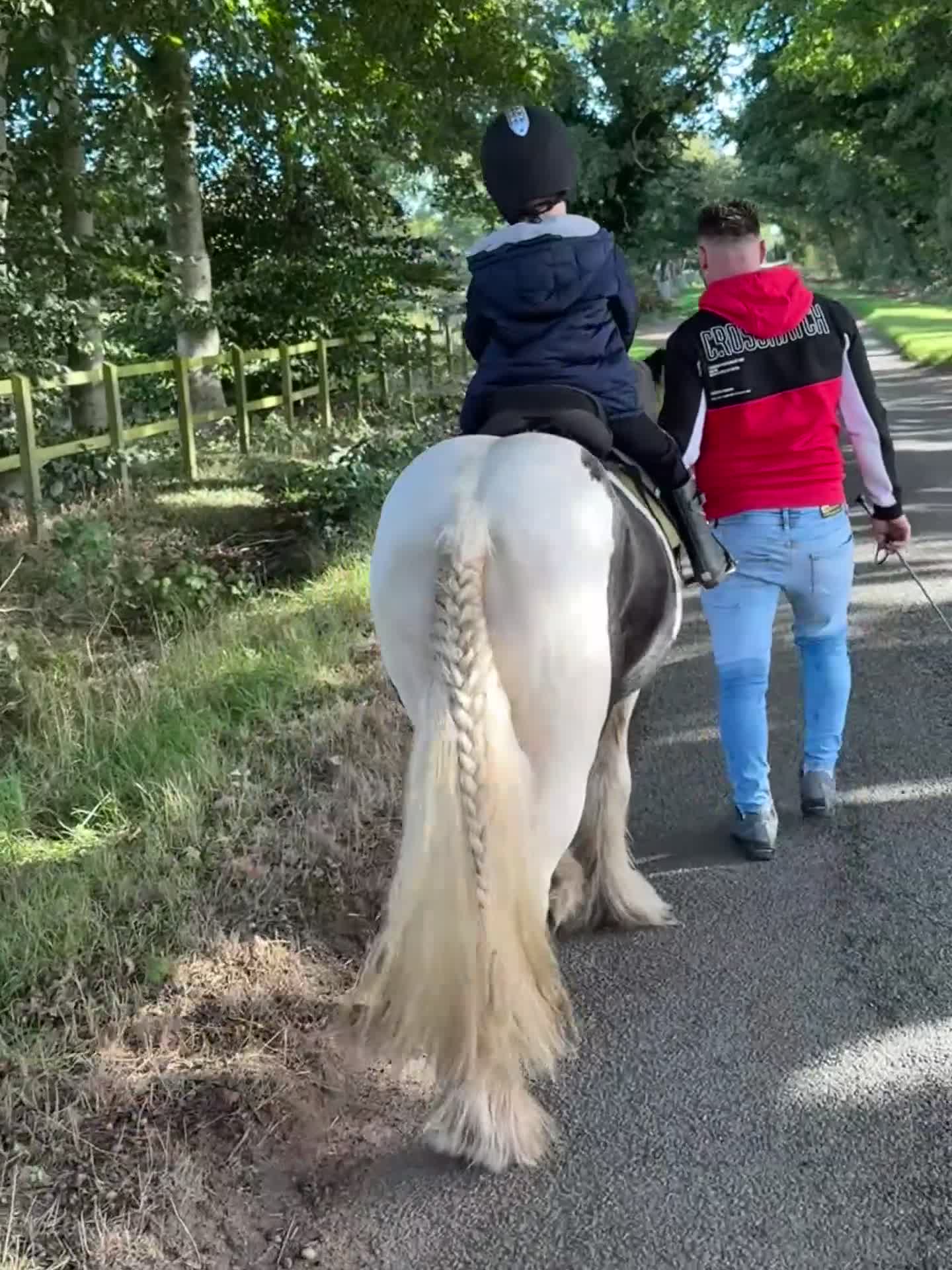 Irish Cob horses for sale: 3 year old cob  - Video 1