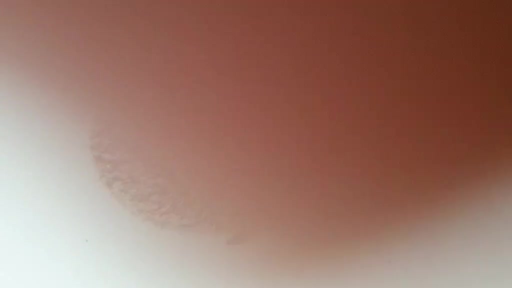 Pygmy Hedgehog rodents for sale: 2 Beautiful female african pygmy hedgehogs   in High Wycombe - Video 5