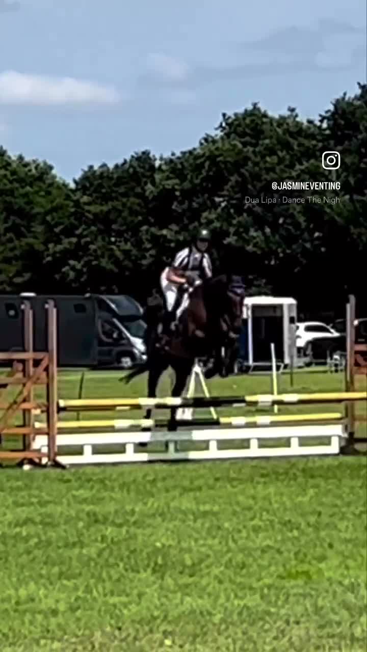 English Thoroughbred horses for sale: 16.1/2HH 17 YEAR OLD THOROUGHBRED EX-RACER GELDING in Newark - Video 2