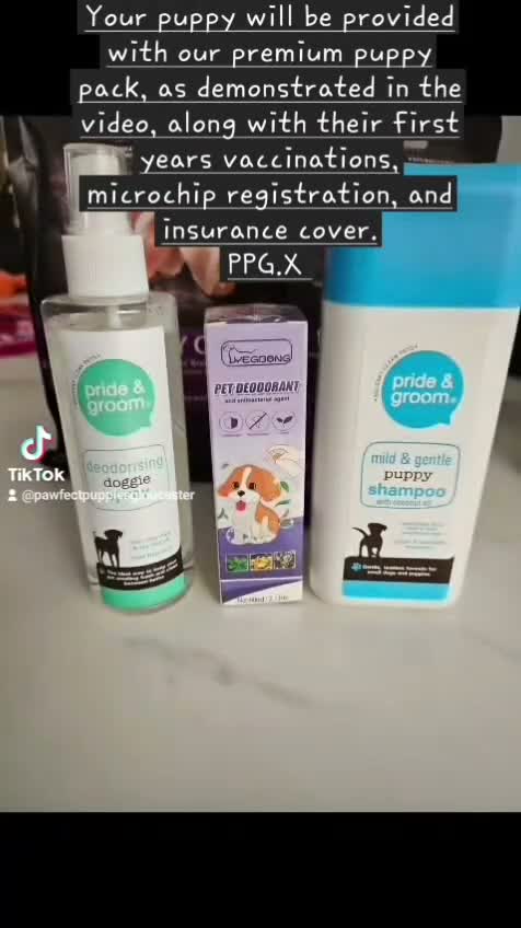 Mixed Breed dogs for sale:  Upcoming Litters: Toy Poodles, Poochons & Cavapoo in Gloucester - Video 1