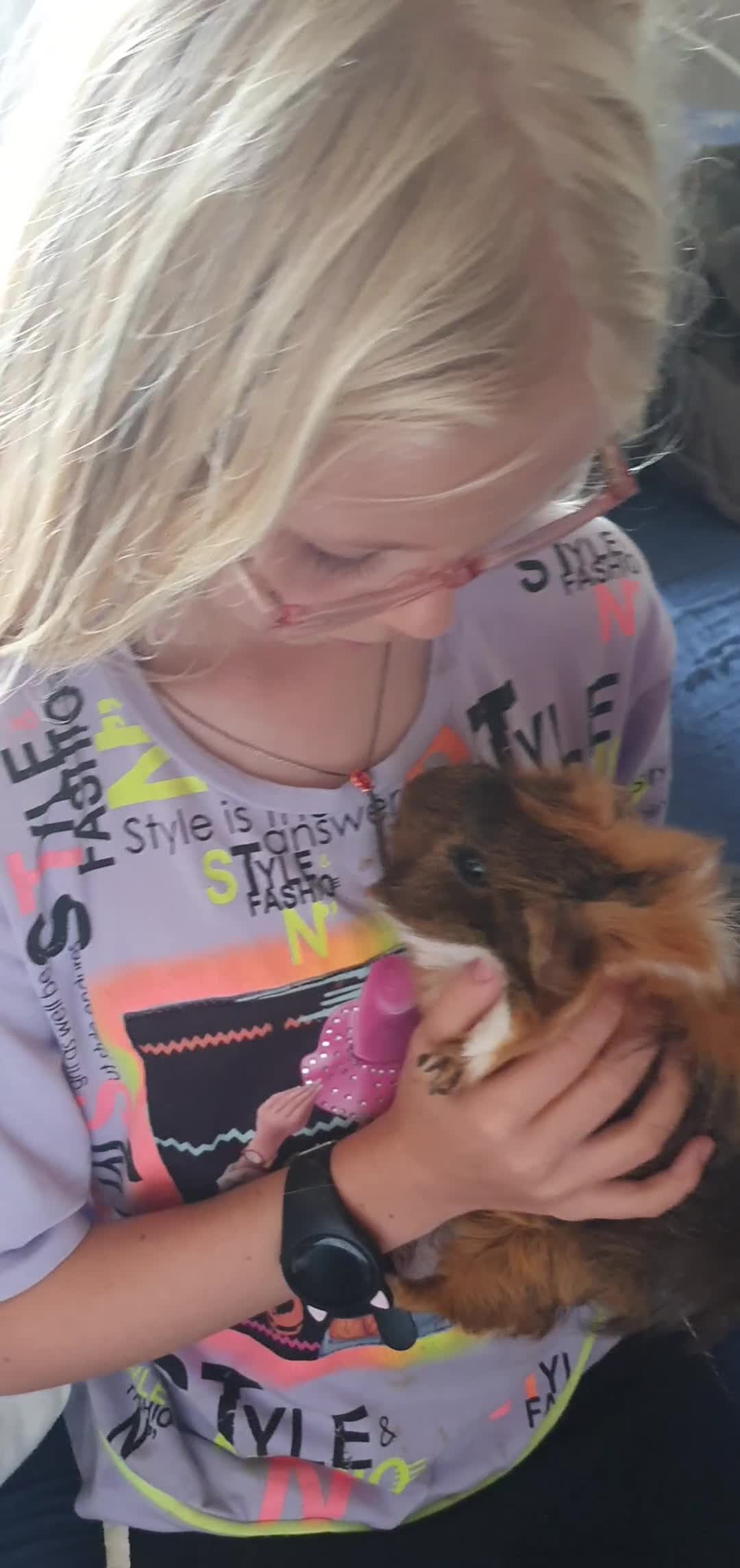 Guinea Pig rodents for sale: 2 guinea pigs! in Bolton - Video 1