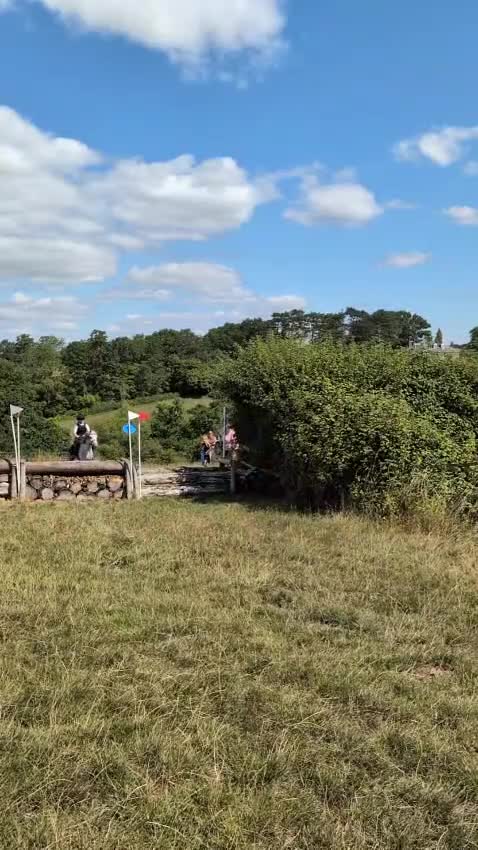 Welsh Section A horses for sale: 11.3 Welsh A Gelding  in Bristol - Video 2