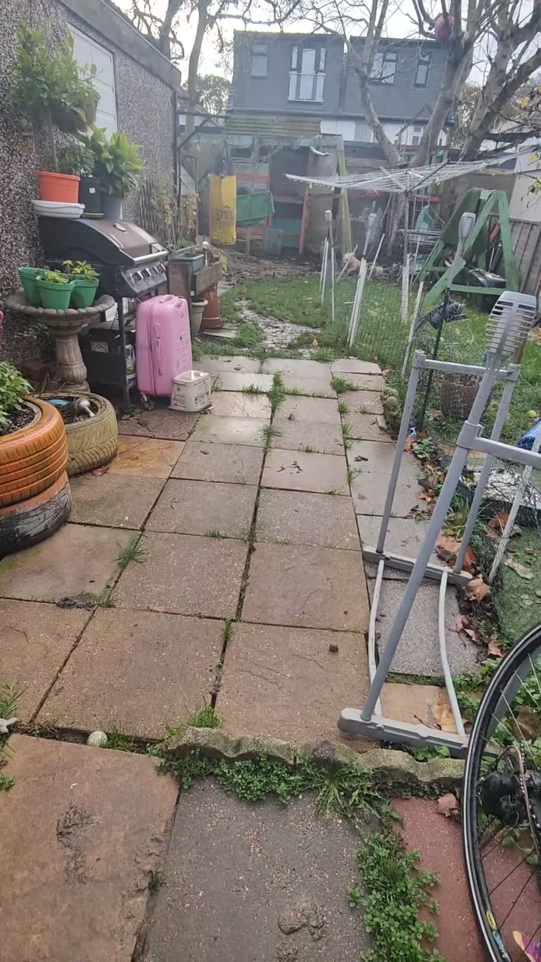 Cockapoo dogs for sale: Cockapoo - Video 1