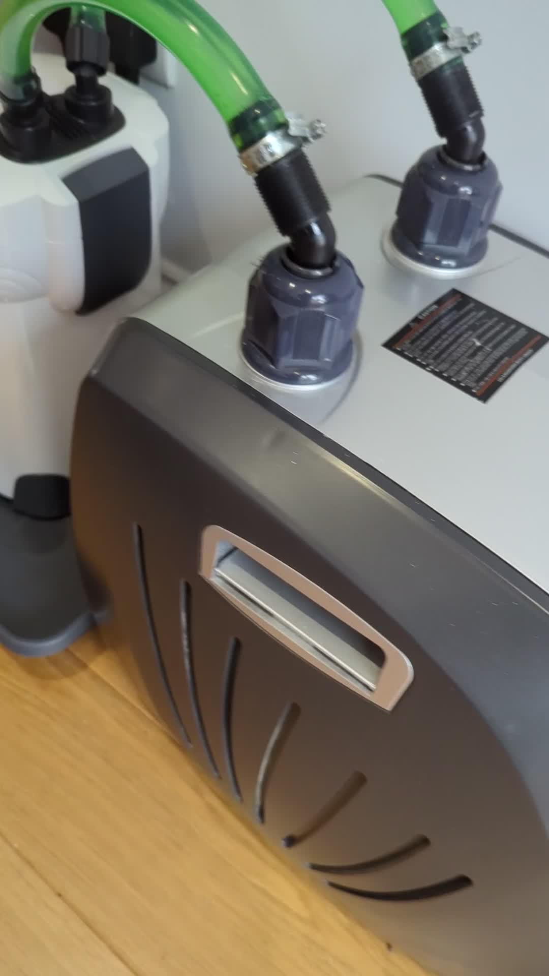 Axolotl reptiles for sale: Adult Axolotl with full setup - Video 1