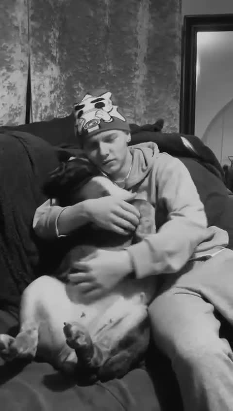 English Bulldog dogs for sale: English bulldog 2 year and a half years  - Video 2