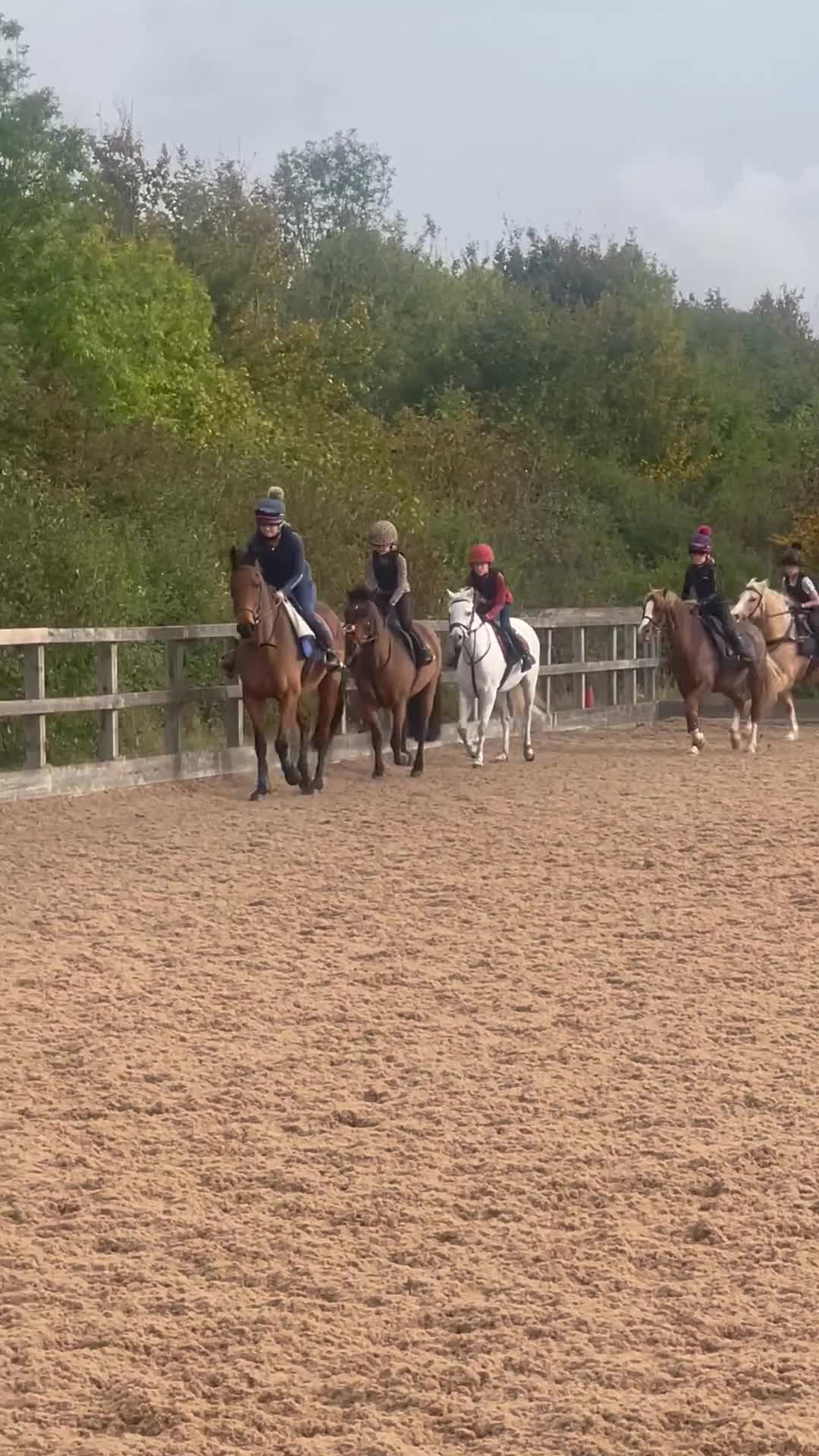 Irish Sports horses for sale: 13.1 Welsh x Irish sports pony  - Video 4